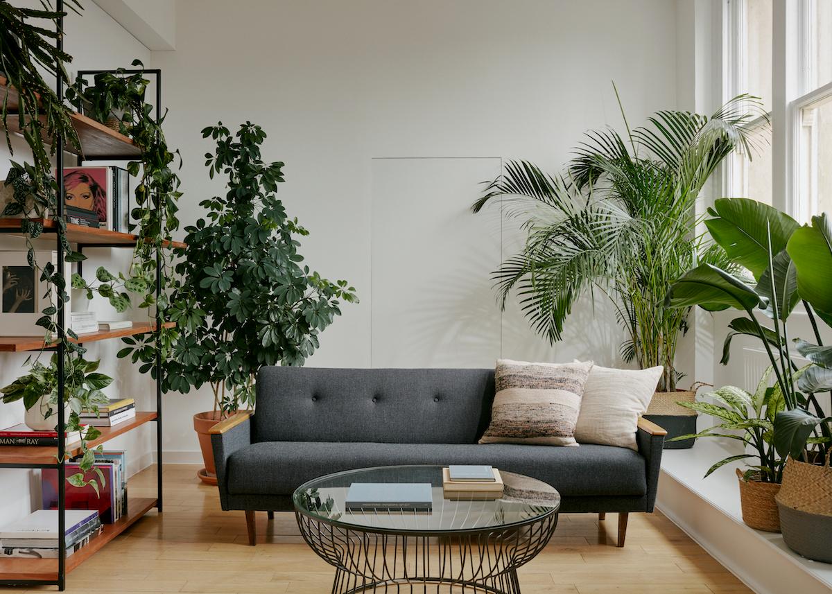 Studio RM unveils newly refurbished London studio