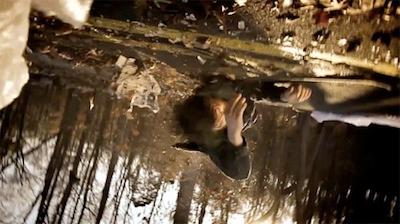 DANIELS take the honours at Vimeo Festival + Awards 2012