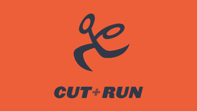 UK Music Video Awards 2018: Cut+Run sponsoring Best Editing in a Video at the UKMVAs