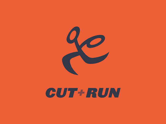 UK Music Video Awards 2017: Cut+Run sponsors Best Editing in a Video at UKMVAs
