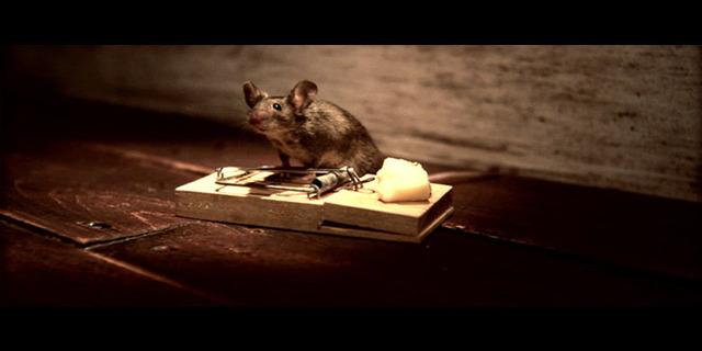 BUG 18: Nolan’s Cheddar by John Nolan