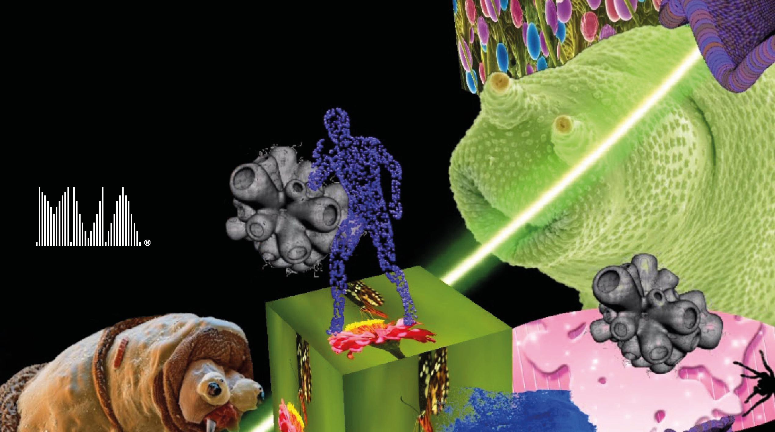 UK Music Video Awards 2021: Individual and Company category judging now open!