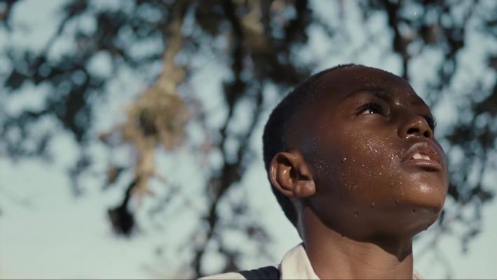 Videos of the Month - January 2019