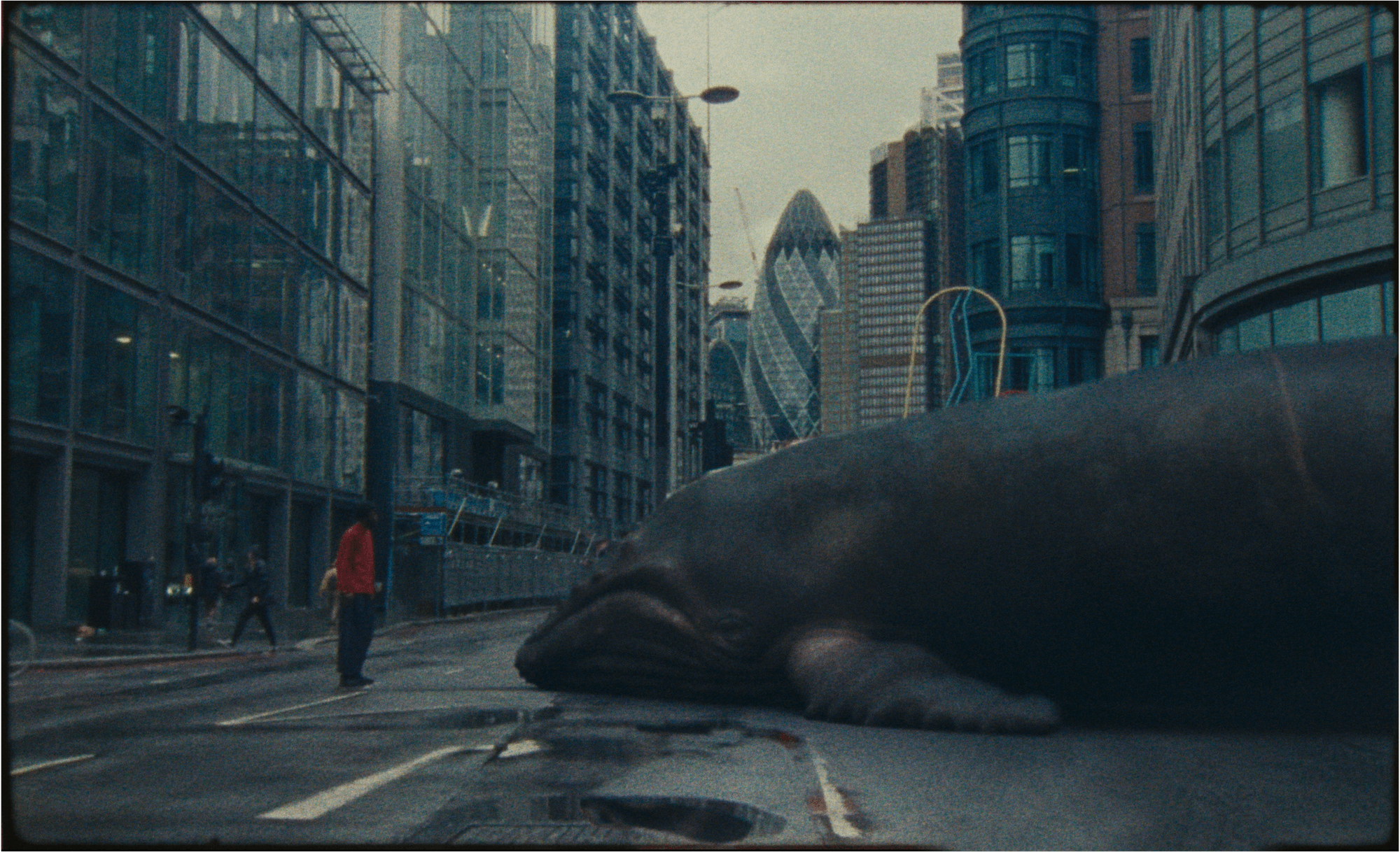 Douglas Bernardt on 'Inside The Blind Iris' and finding fresh inspiration in London