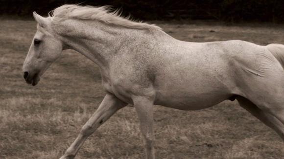 While She Sleeps 'Our Courage Our Cancer' by Stuart Birchall