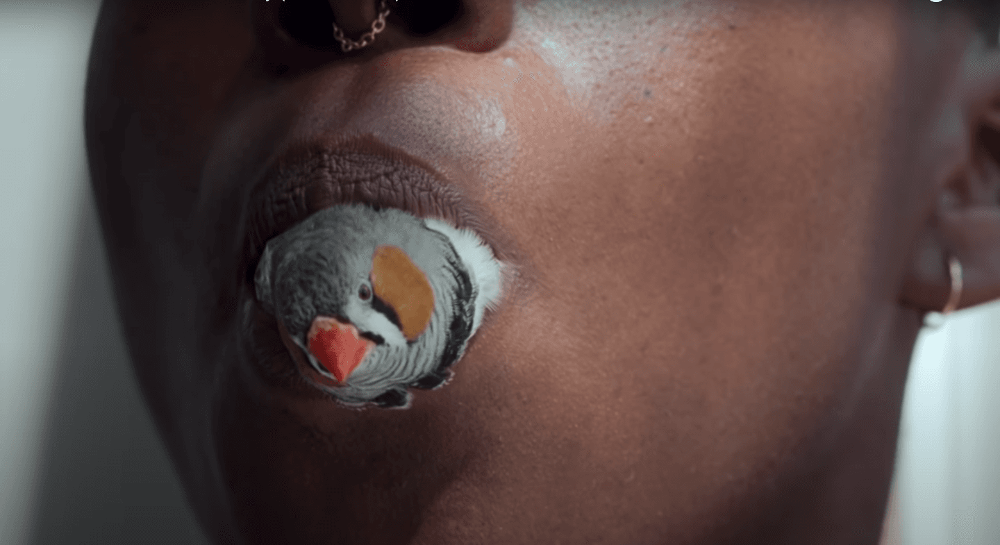 Thomas Azier 'Love, Disorderly' by Laurent Chanez